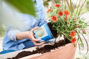 authentische Werbefotografie Baden-Württemberg: Gärtnerei
