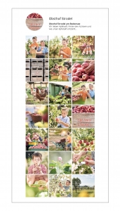Fotograf, Werbefotoshooting, Bilderpool für Instagram Business Account, einheitliche Unternehmensbilder für Social Media