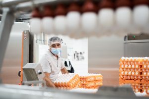 Fotoshooting Produktion Lebensmittelverarbeitung, Eier